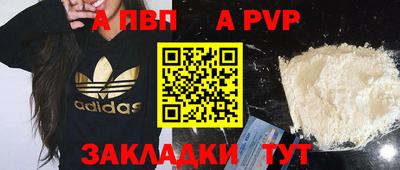 шишки Аргун