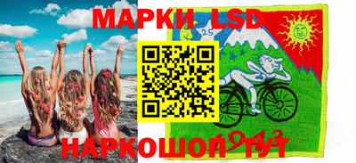 шишки Аргун