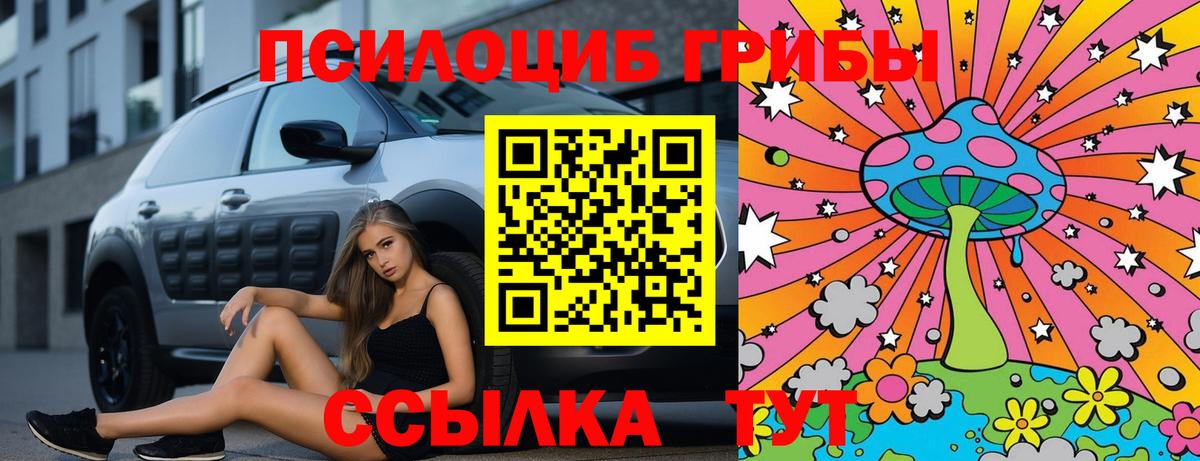 где купить наркотик  Берёзовский  Псилоцибиновые грибы ЛСД 